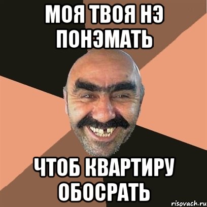моя твоя нэ понэмать чтоб квартиру обосрать, Мем Я твой дом труба шатал