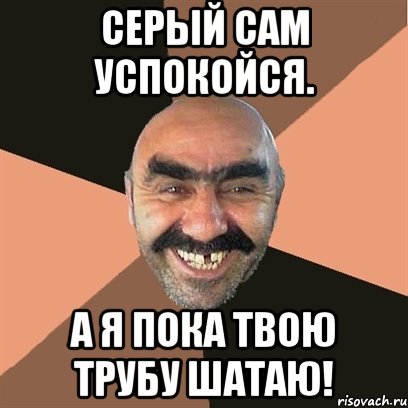 серый сам успокойся. а я пока твою трубу шатаю!, Мем Я твой дом труба шатал