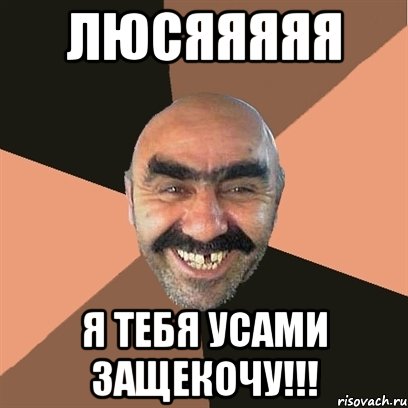 люсяяяяя я тебя усами защекочу!!!, Мем Я твой дом труба шатал