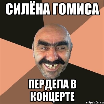 силёна гомиса пердела в концерте, Мем Я твой дом труба шатал