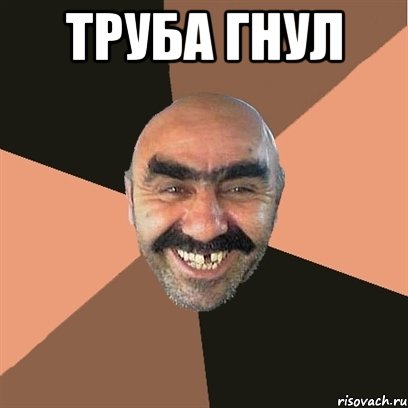 труба гнул , Мем Я твой дом труба шатал