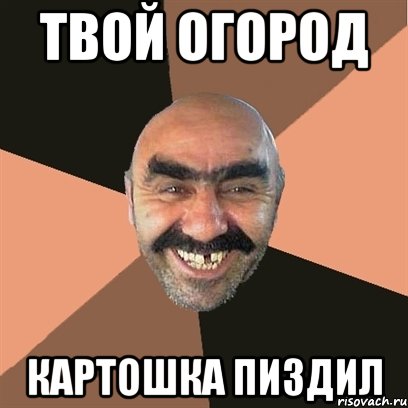 твой огород картошка пиздил, Мем Я твой дом труба шатал