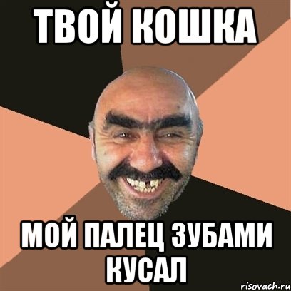 твой кошка мой палец зубами кусал, Мем Я твой дом труба шатал