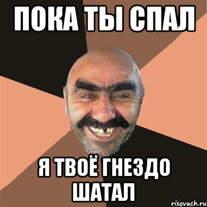 пока ты спал я твоё гнездо шатал, Мем Я твой дом труба шатал