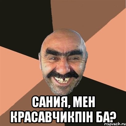  сания, мен красавчикпiн ба?, Мем Я твой дом труба шатал