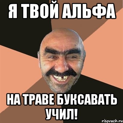 я твой альфа на траве буксавать учил!, Мем Я твой дом труба шатал