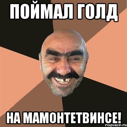 поймал голд на мамонтетвинсе!, Мем Я твой дом труба шатал