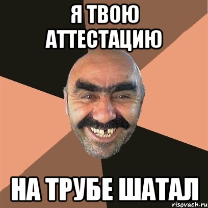я твою аттестацию на трубе шатал, Мем Я твой дом труба шатал