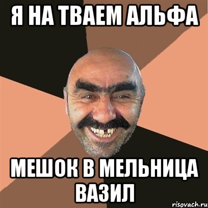 я на тваем альфа мешок в мельница вазил, Мем Я твой дом труба шатал