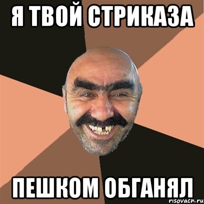 я твой стриказа пешком обганял, Мем Я твой дом труба шатал