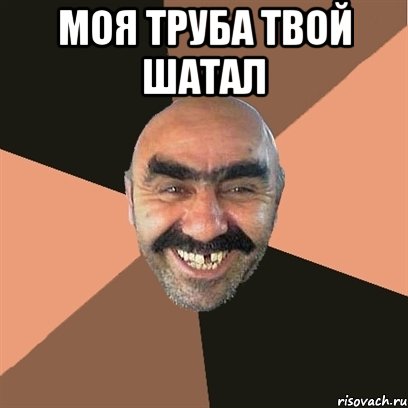 моя труба твой шатал , Мем Я твой дом труба шатал