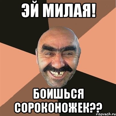 эй милая! боишься сороконожек??, Мем Я твой дом труба шатал