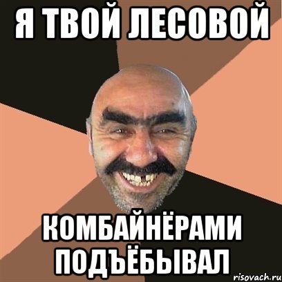 я твой лесовой комбайнёрами подъёбывал, Мем Я твой дом труба шатал