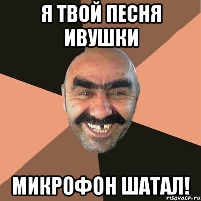 я твой песня ивушки микрофон шатал!, Мем Я твой дом труба шатал