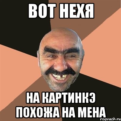 вот нехя на картинкэ похожа на мена, Мем Я твой дом труба шатал