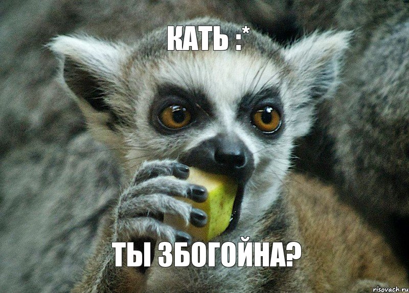 Кать :* ты збогойна?