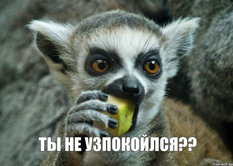  ты не узпокойлся??