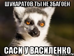 шукаратов ты не збагоен саси у василенко