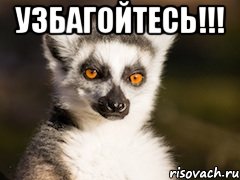 узбагойтесь!!! , Мем Я збагоен