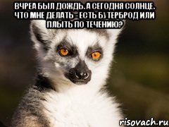 вчреа был дождь. а сегодня солнце. что мне делать - есть бутерброд или плыть по течению? , Мем Я збагоен