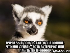  вчреа был дождь. а сегодня солнце. что мне делать - есть бутерброд или плыть по течению?, Мем Я збагоен