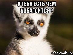 у тебя есть чем узбагоится? , Мем Я збагоен