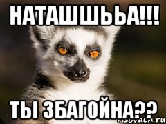 наташшььа!!! ты збагойна??, Мем Я збагоен