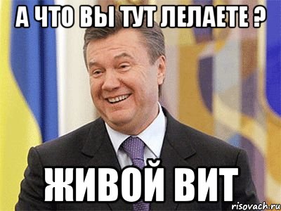 а что вы тут лелаете ? живой вит, Мем Янукович