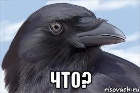  что?