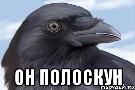  он полоскун