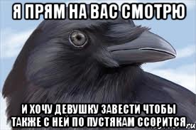 я прям на вас смотрю и хочу девушку завести чтобы также с ней по пустякам ссорится