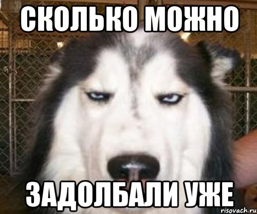 сколько можно задолбали уже, Мем задолбал