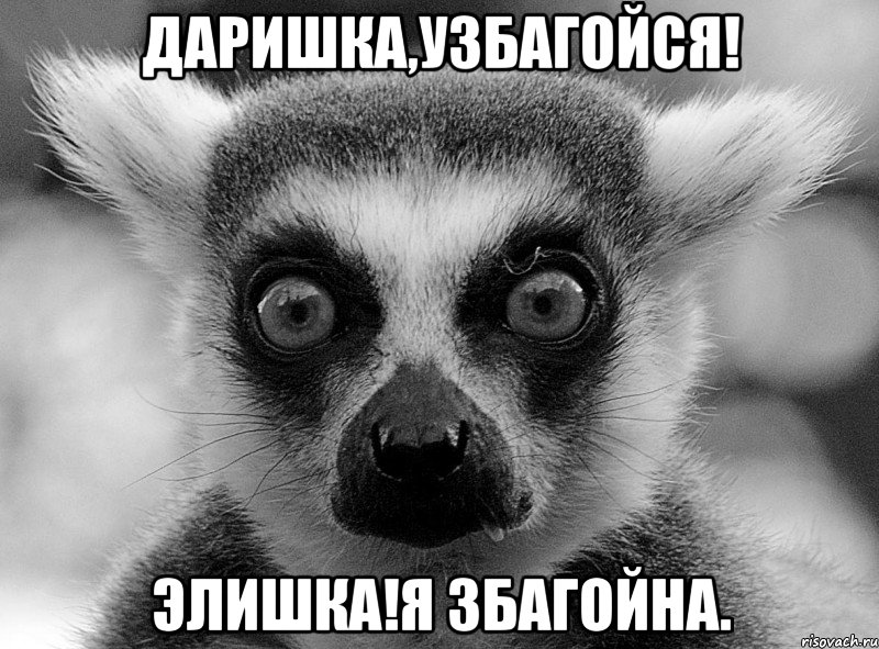 даришка,узбагойся! элишка!я збагойна.