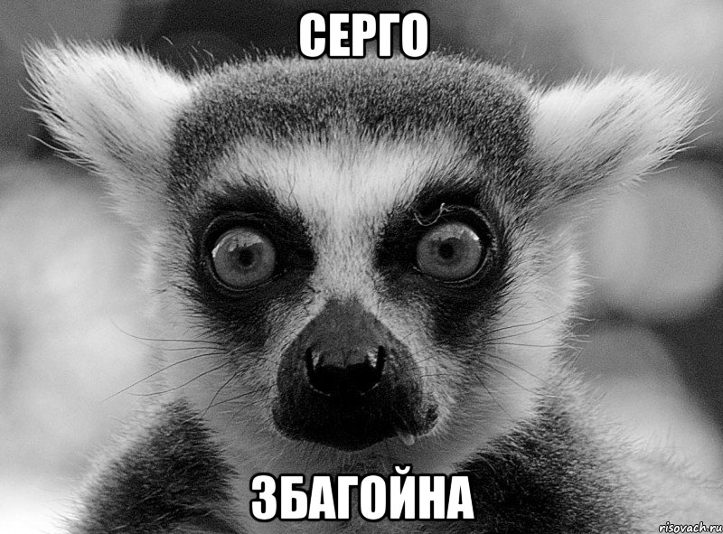 серго збагойна