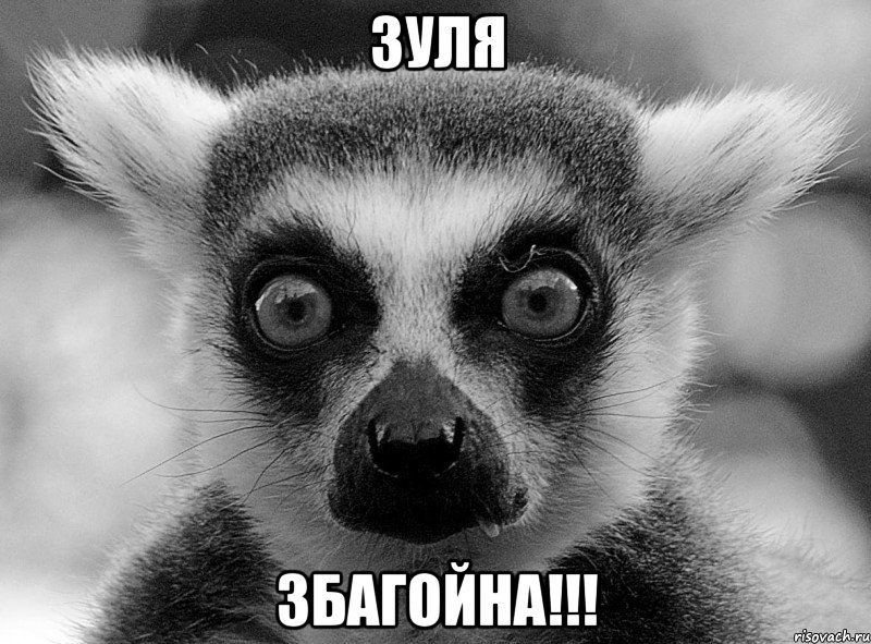 зуля збагойна!!!