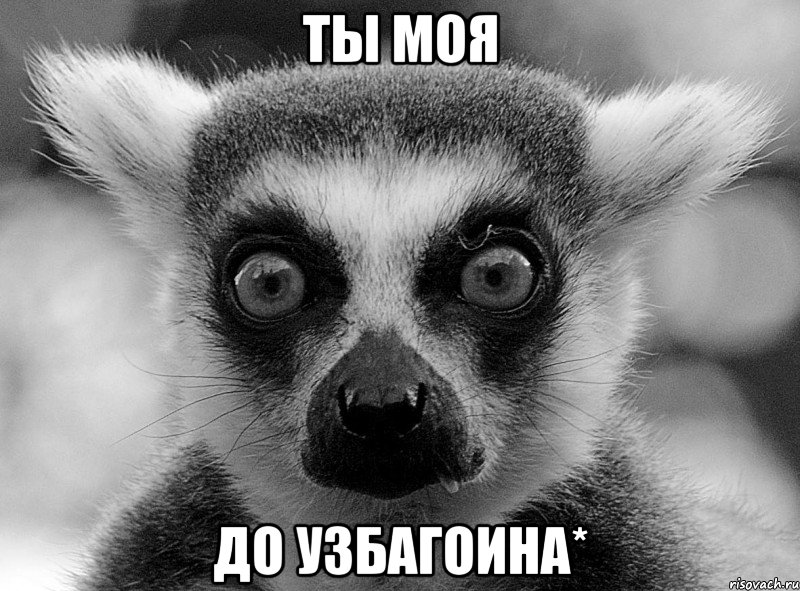 ты моя до узбагоина*