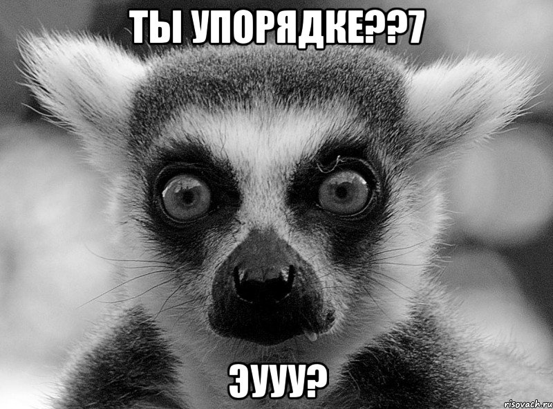 ты упорядке??7 эууу?