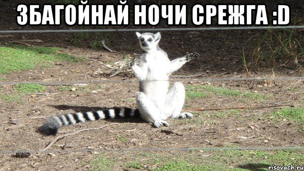 збагойнай ночи срежга :d 