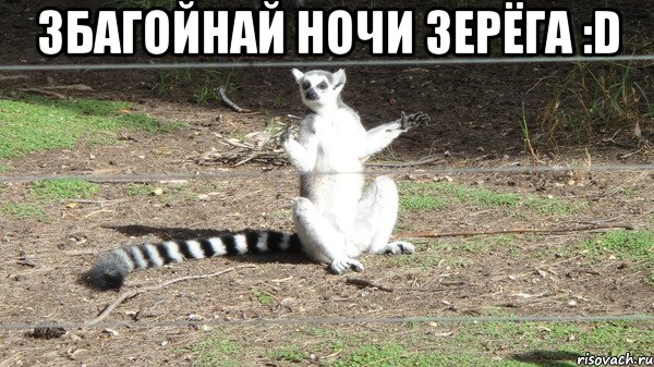 збагойнай ночи зерёга :d 