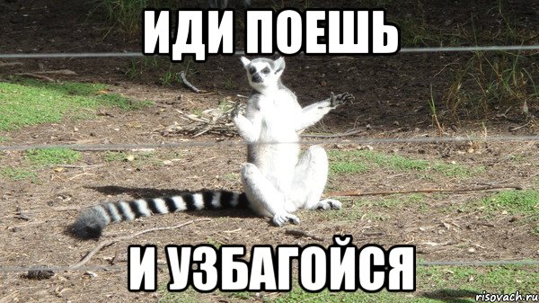 иди поешь и узбагойся