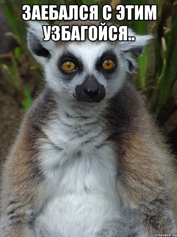 заебался с этим узбагойся.. 