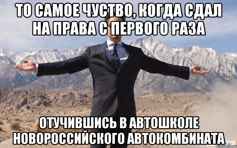 то самое чуство, когда сдал на права с первого раза отучившись в автошколе новороссийского автокомбината, Мем железный человек