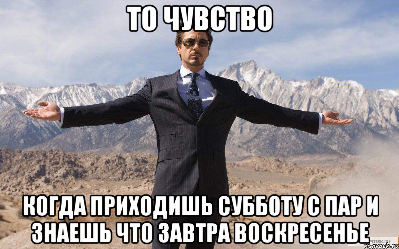 то чувство когда приходишь субботу с пар и знаешь что завтра воскресенье, Мем железный человек