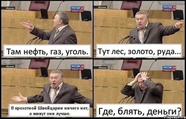 Там нефть, газ, уголь. Тут лес, золото, руда... В крохотной Швейцарии ничего нет, а живут они лучше. Где, блять, деньги?, Комикс Жирик в шоке хватается за голову