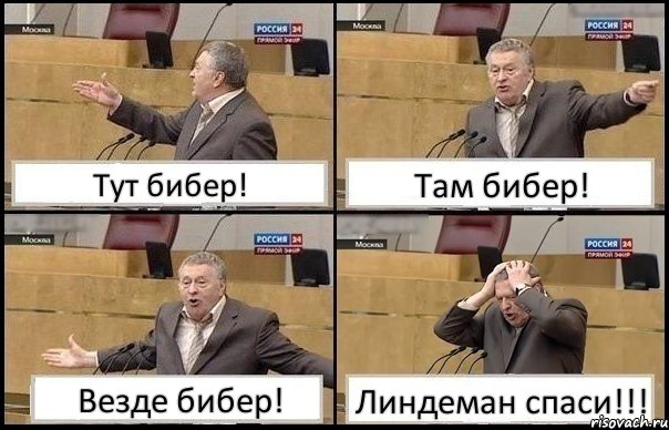 Тут бибер! Там бибер! Везде бибер! Линдеман спаси!!!, Комикс Жирик в шоке хватается за голову