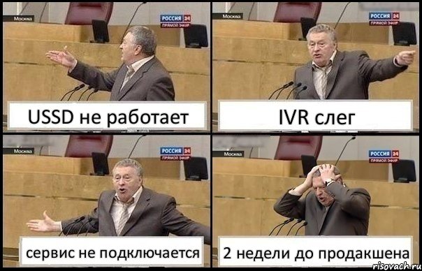 USSD не работает IVR слег сервис не подключается 2 недели до продакшена, Комикс Жирик в шоке хватается за голову