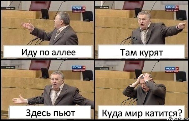 Иду по аллее Там курят Здесь пьют Куда мир катится?, Комикс Жирик в шоке хватается за голову