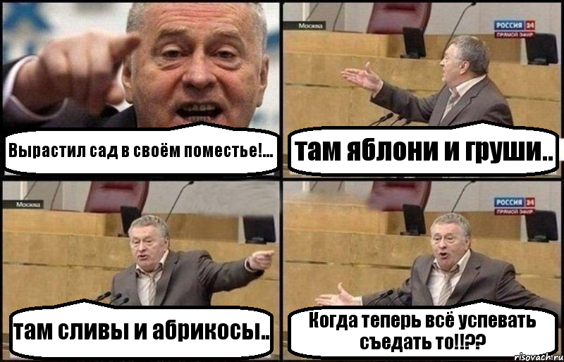 Вырастил сад в своём поместье!... там яблони и груши.. там сливы и абрикосы.. Когда теперь всё успевать съедать то!!??, Комикс Жириновский