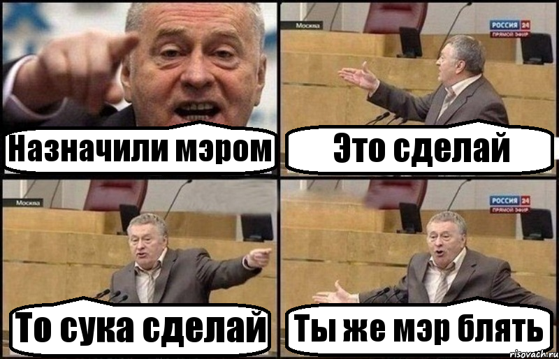 Назначили мэром Это сделай То сука сделай Ты же мэр блять, Комикс Жириновский