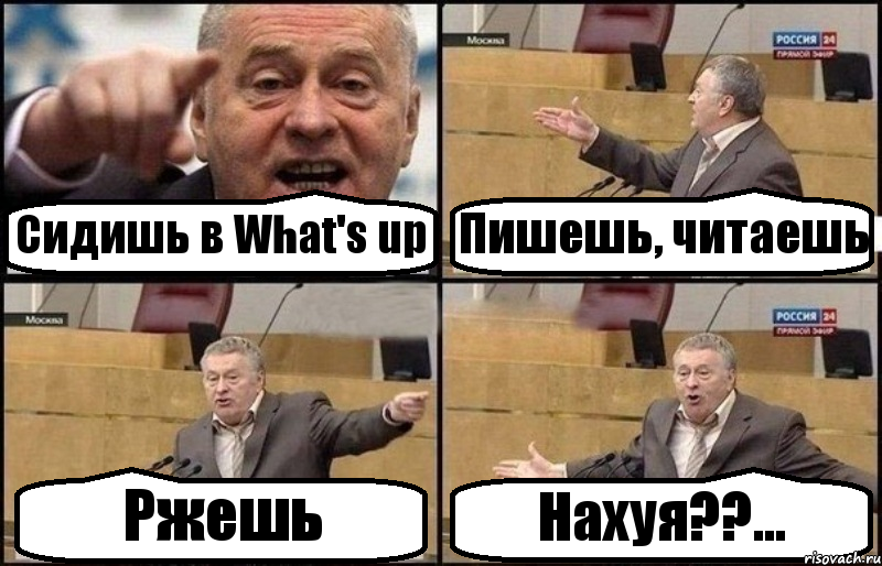 Сидишь в What's up Пишешь, читаешь Ржешь Нахуя??..., Комикс Жириновский